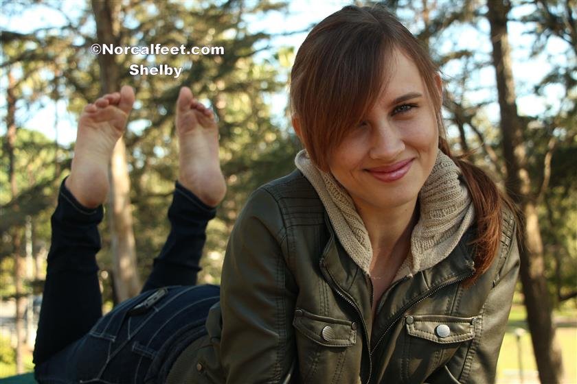 Cover 2 Shelby 46 Photos
