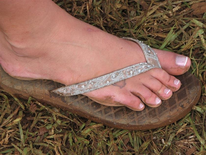 Cover 3 Various womens feet 438 Photos