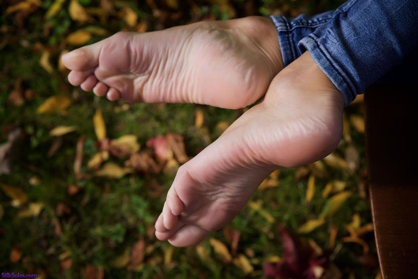 Cover 3 Barefoot Fall 121 Photos