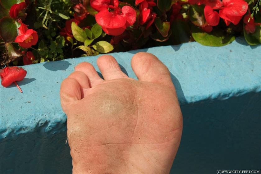 Cover 5 Barefoot and free. Part 2. 98 Photos