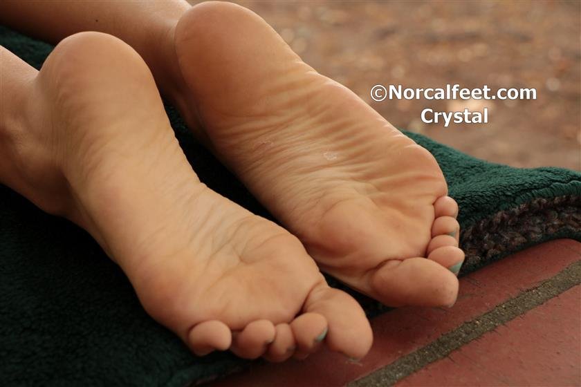 Cover 5 Crystal 50 Photos