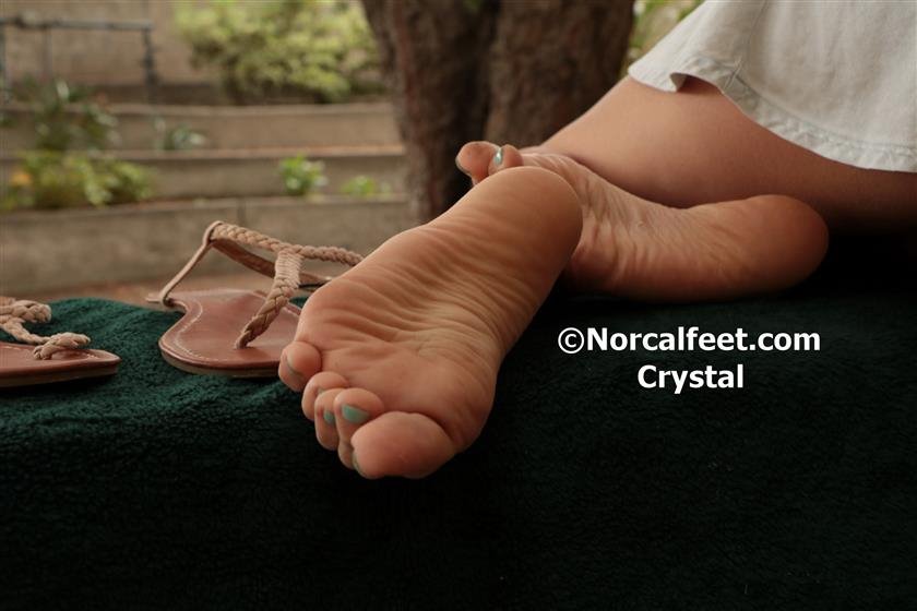 Cover 6 Crystal 50 Photos